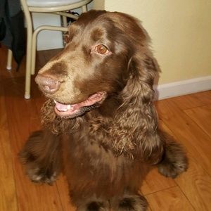 Meet your Posher, Mitchell